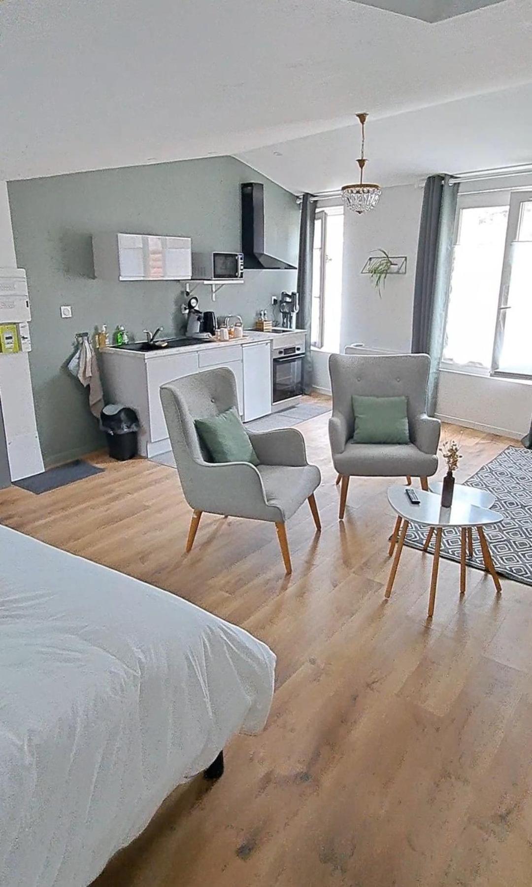 Appartement La Porte Bleue - Juste Renove - Tres Propre - Grand Confort - Lumineux - Calme - Centre Historique *